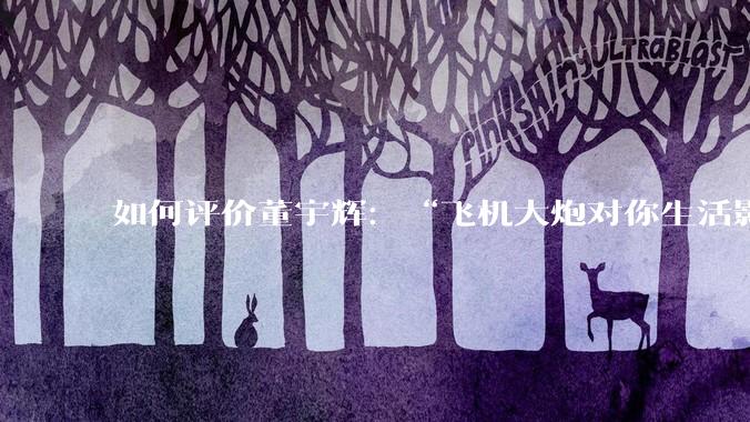 如何评价董宇辉：“飞机大炮对你生活影响其实并不大，小家电才是真正提升每个人生活质量”这个观点？
