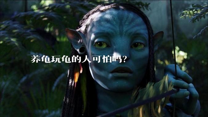 养龟玩龟的人可怕吗？