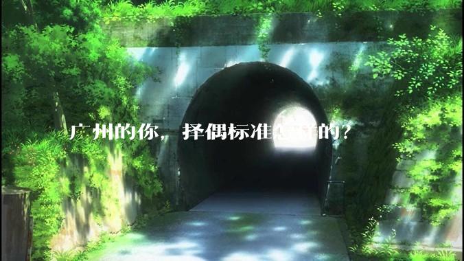 广州的你，择偶标准怎样的？