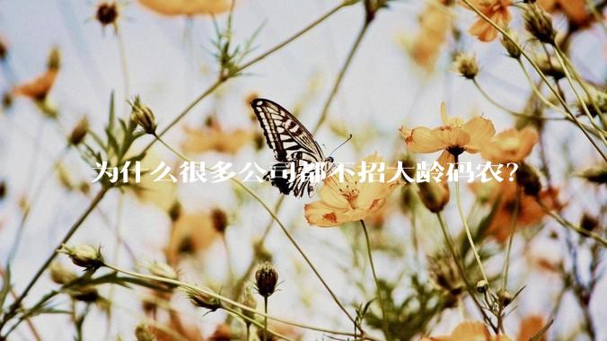 为什么很多公司都不招大龄码农？