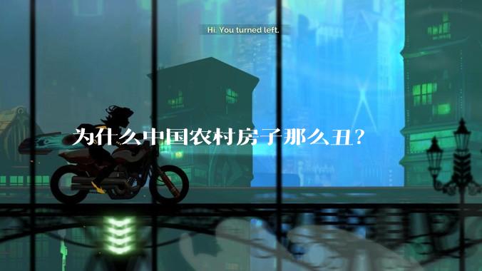 为什么中国农村房子那么丑？